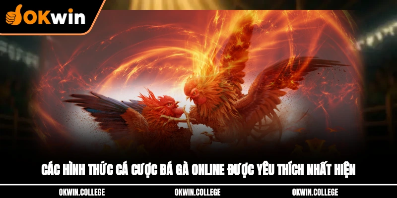 Các hình thức cá cược đá gà online được yêu thích nhất hiện 