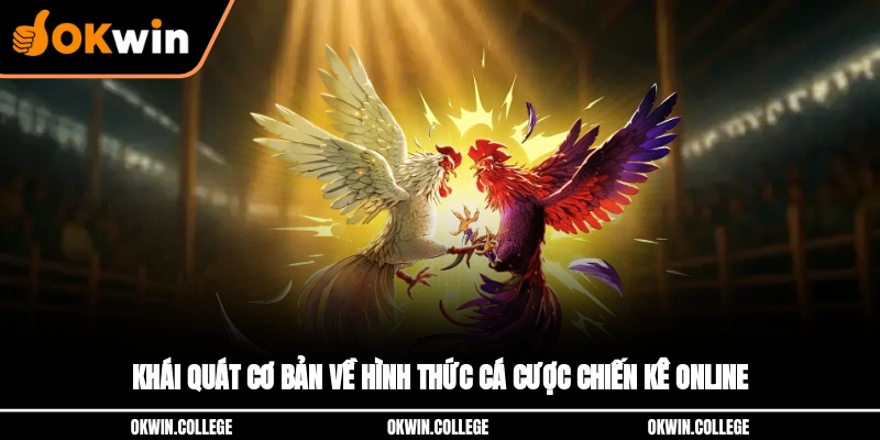 Khái quát cơ bản về hình thức cá cược chiến kê online