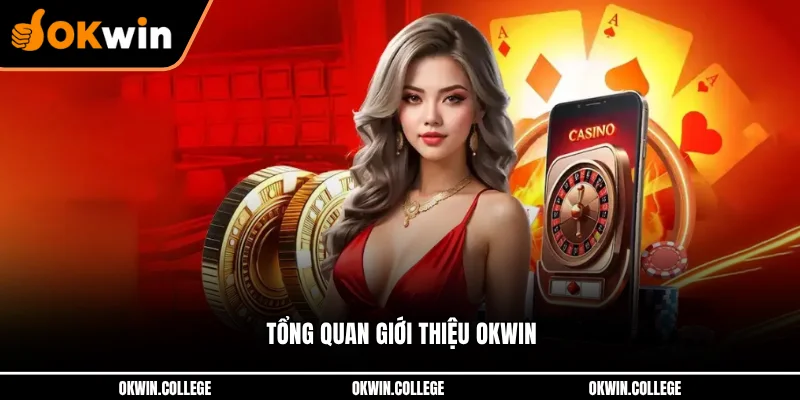 Tổng quan giới thiệu OKWIN